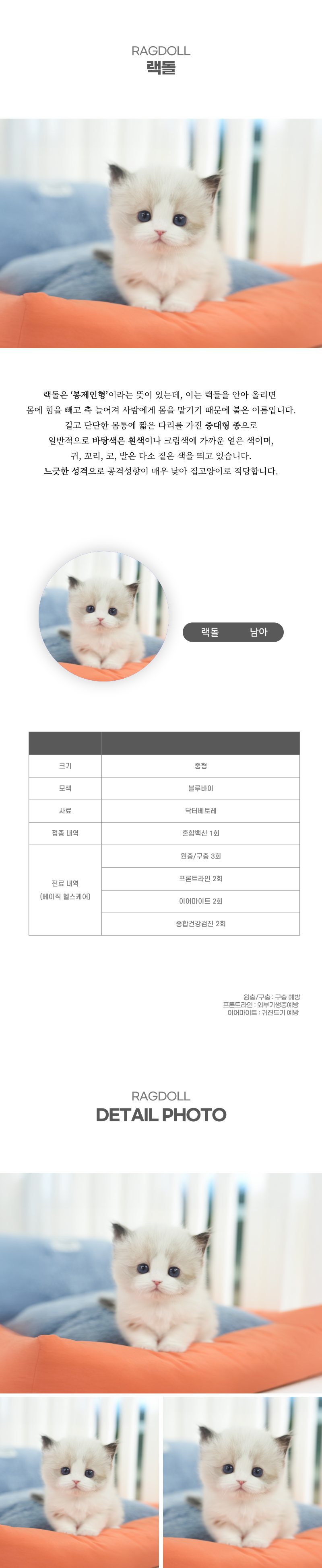 랙돌_상세이미지_2